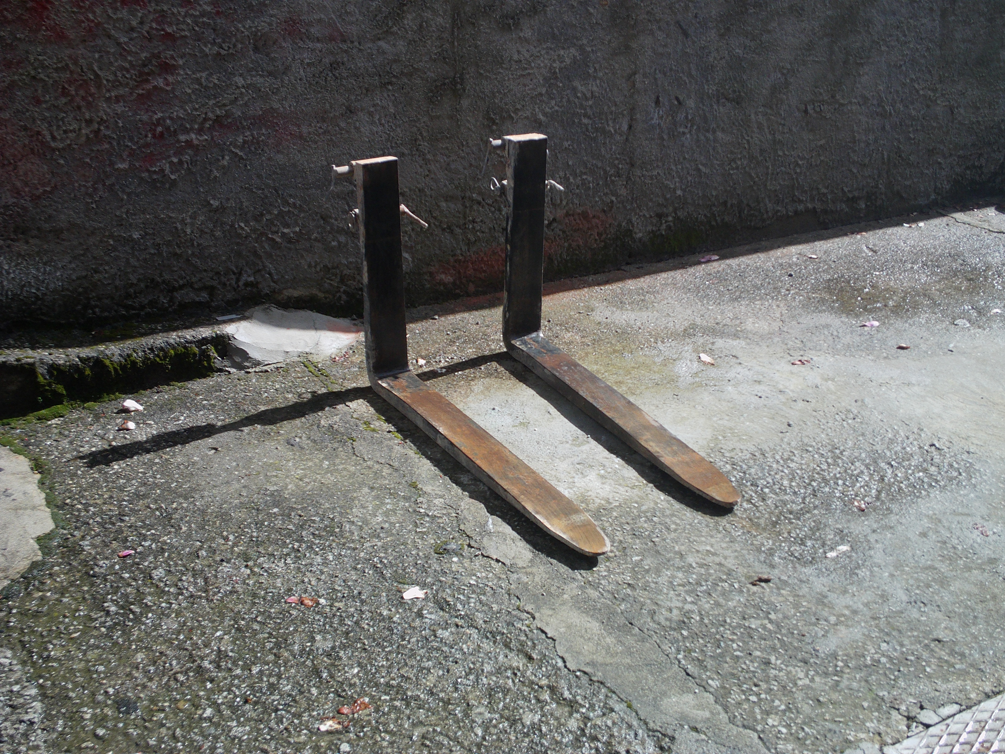 Forche Pallet in vendita - foto 2