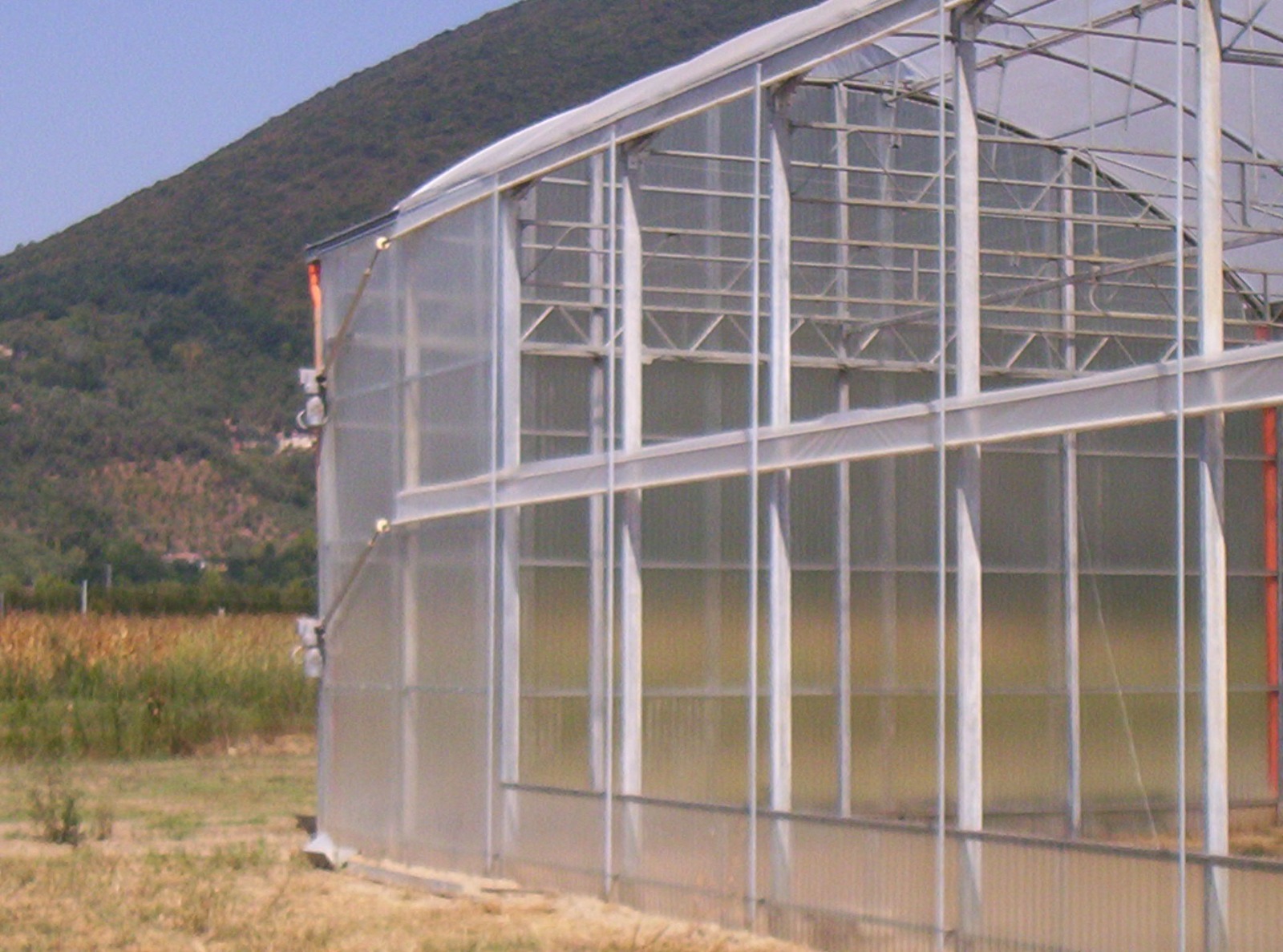 SERRA IDROPONICA HI-TECH 5000 MQ in vendita - foto 2