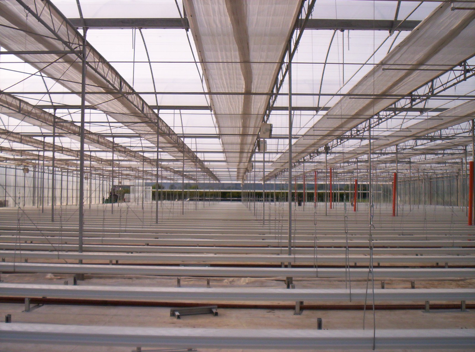 SERRA IDROPONICA HI-TECH 5000 MQ in vendita - foto 10