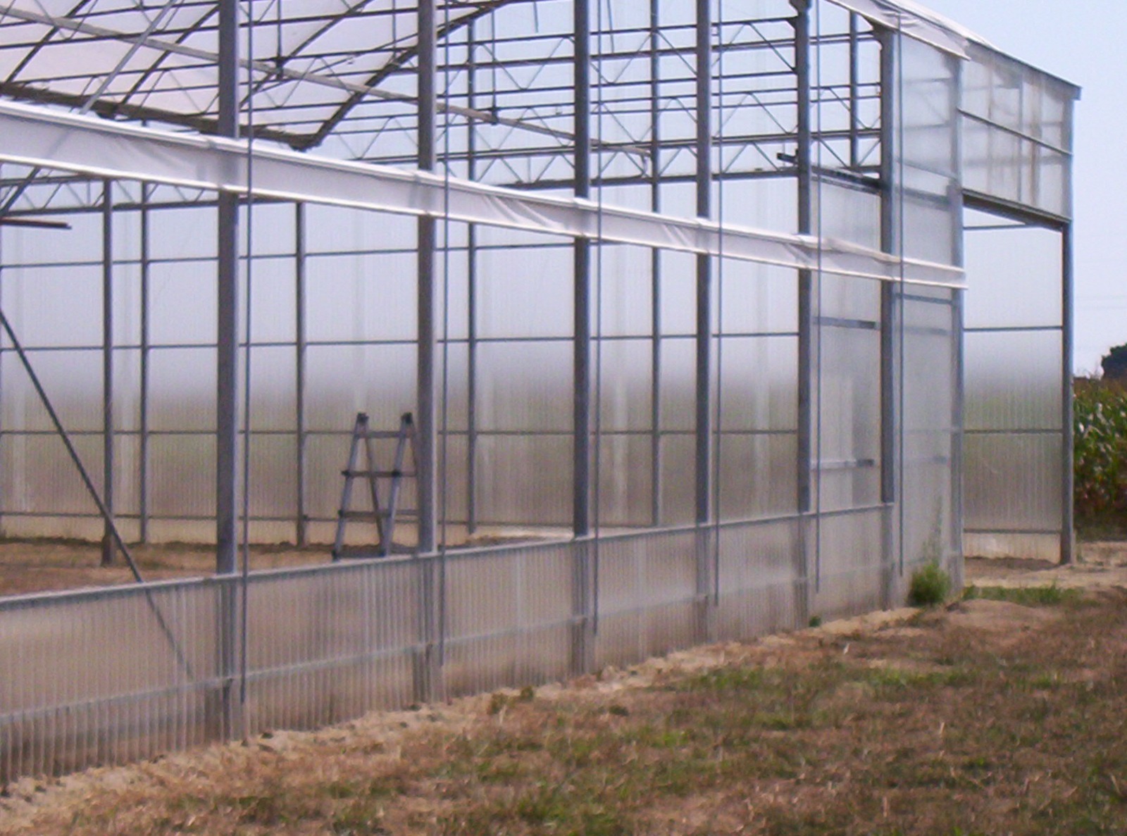 SERRA IDROPONICA HI-TECH 5000 MQ in vendita - foto 15