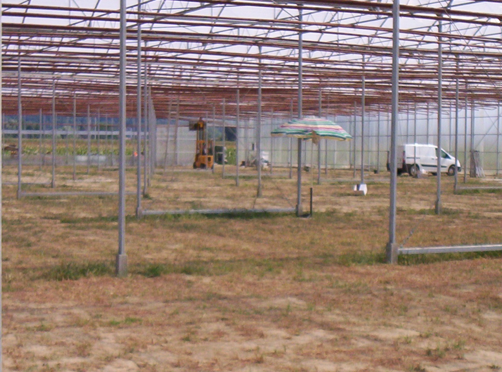 SERRA IDROPONICA HI-TECH 5000 MQ in vendita - foto 9