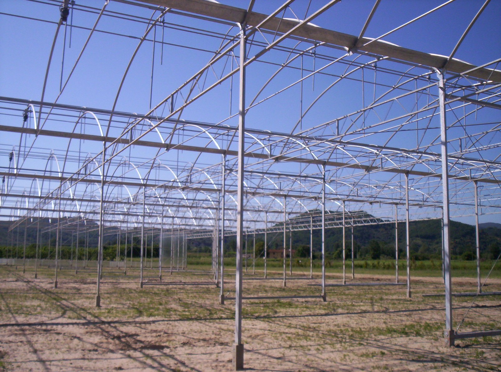 SERRA IDROPONICA HI-TECH 5000 MQ in vendita - foto 12