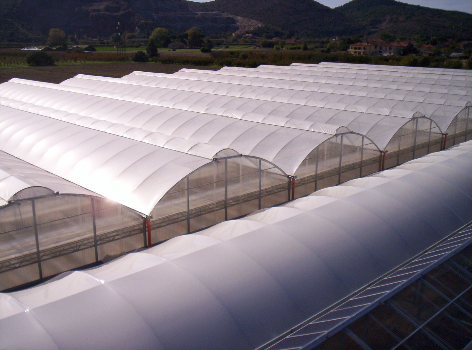 SERRA IDROPONICA HI-TECH 5000 MQ in vendita - foto 1