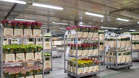 Attività commerciali in vendita