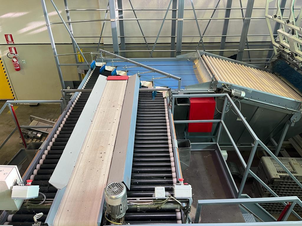 LINEA CALIBRATURA AWETA in vendita - foto 4
