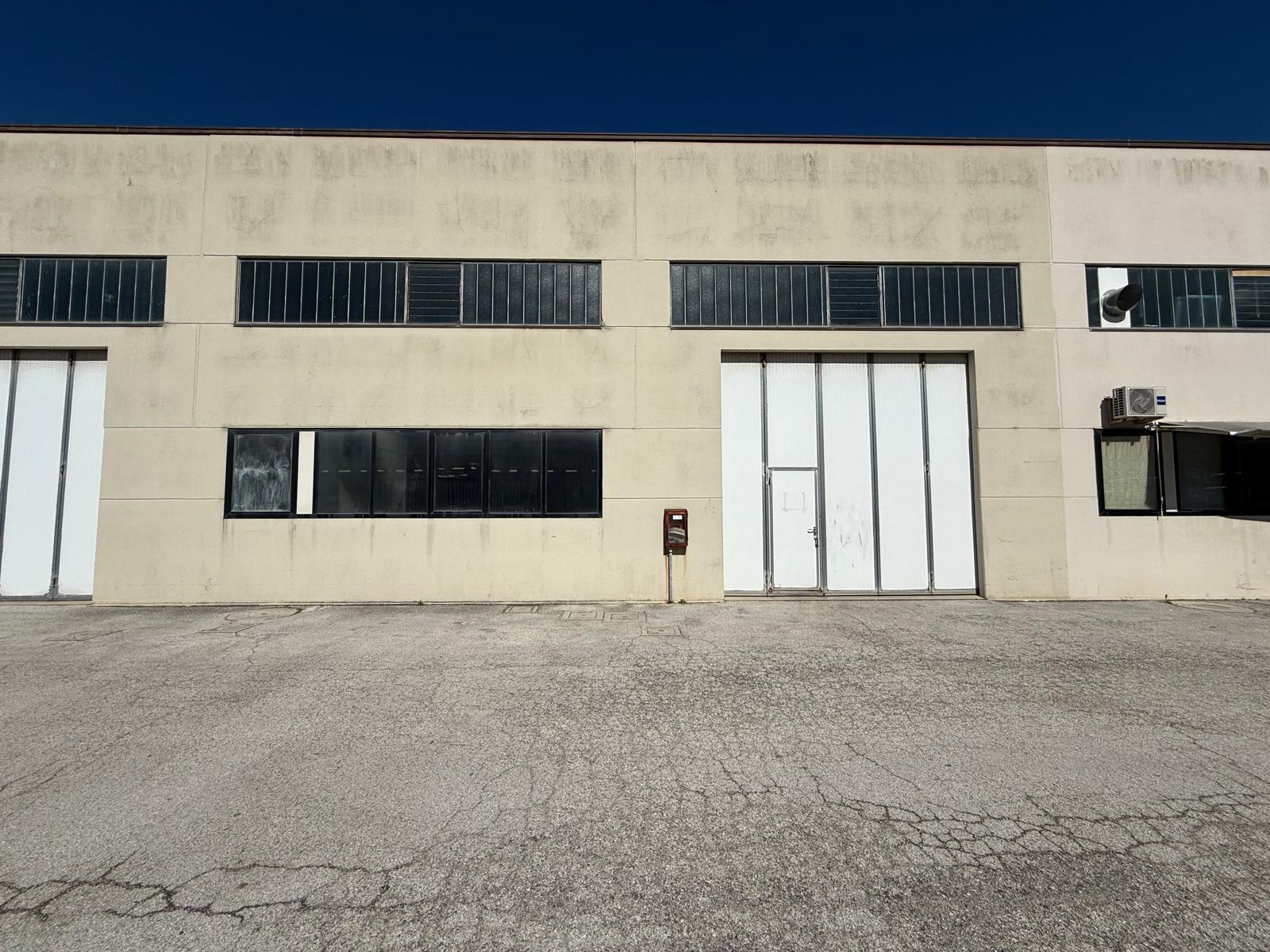 Fano Bellocchi vendesi capannone in vendita - foto 7