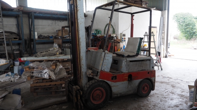 Carrelli elevatori in vendita