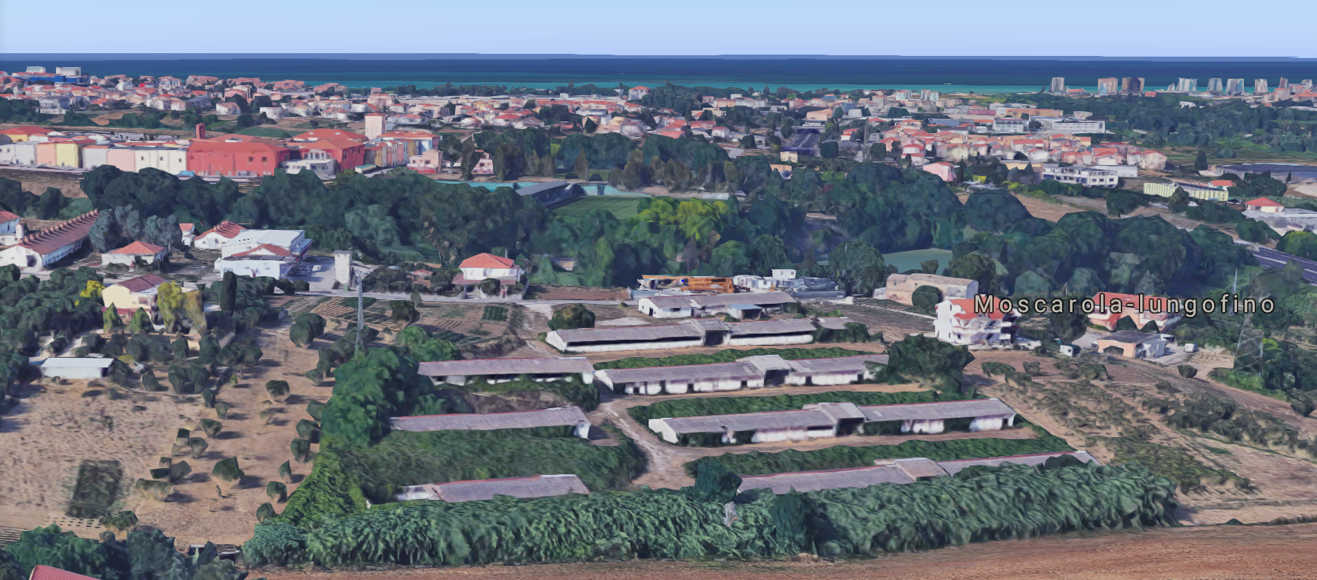 TERRENO CON COMPLESSO AZIENDALE CON VARI CAPANNONI in vendita - foto 3