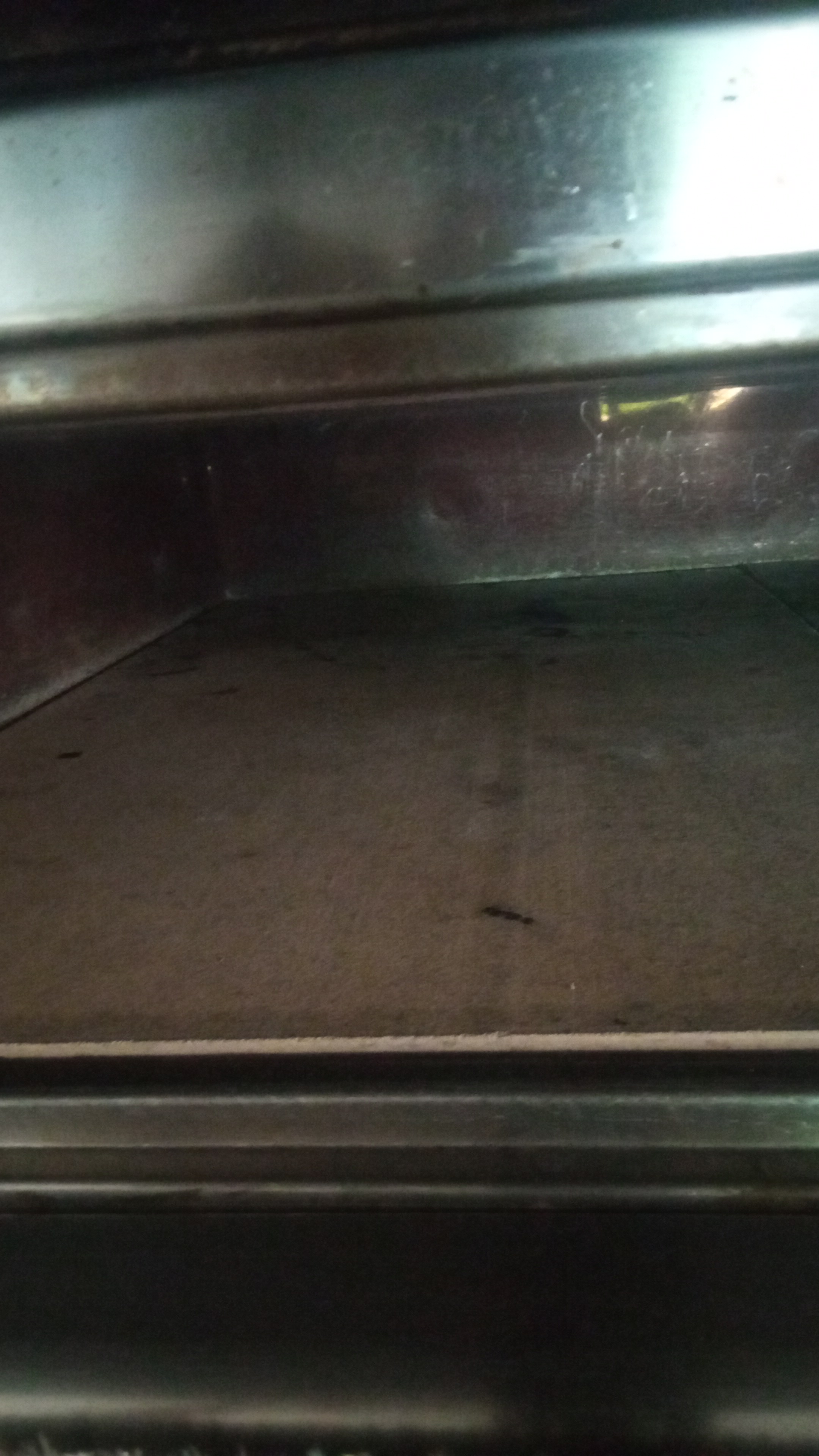 Forno elettrico professionale ottime condizioni10 pizze in vendita - foto 2