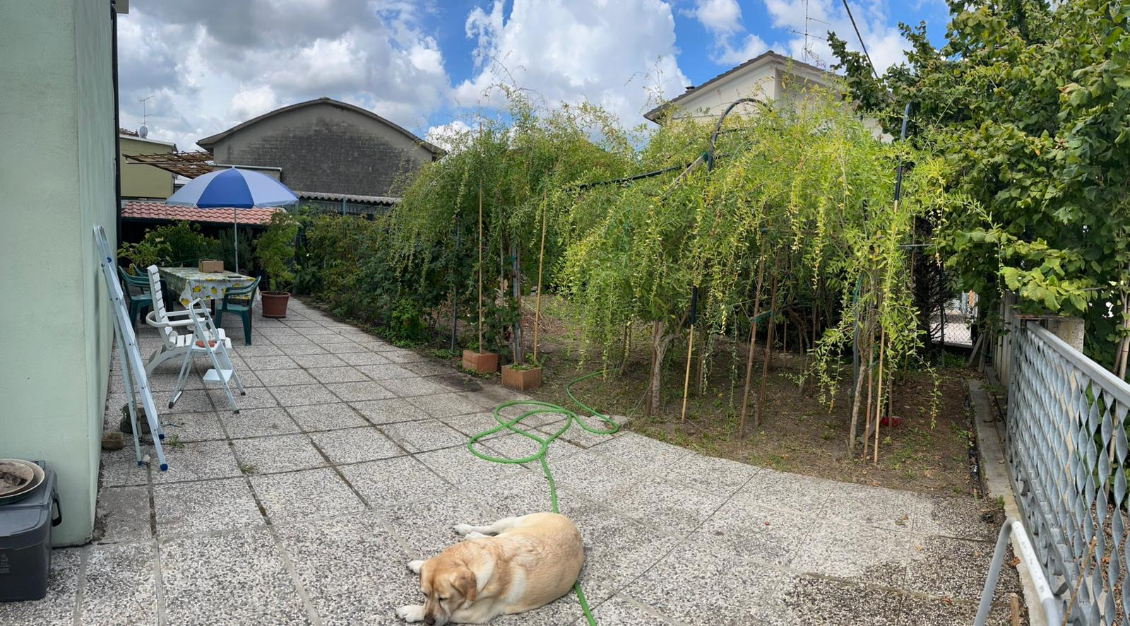 Laboratorio Artigianale con Appartamento e giardino in vendita - foto 15