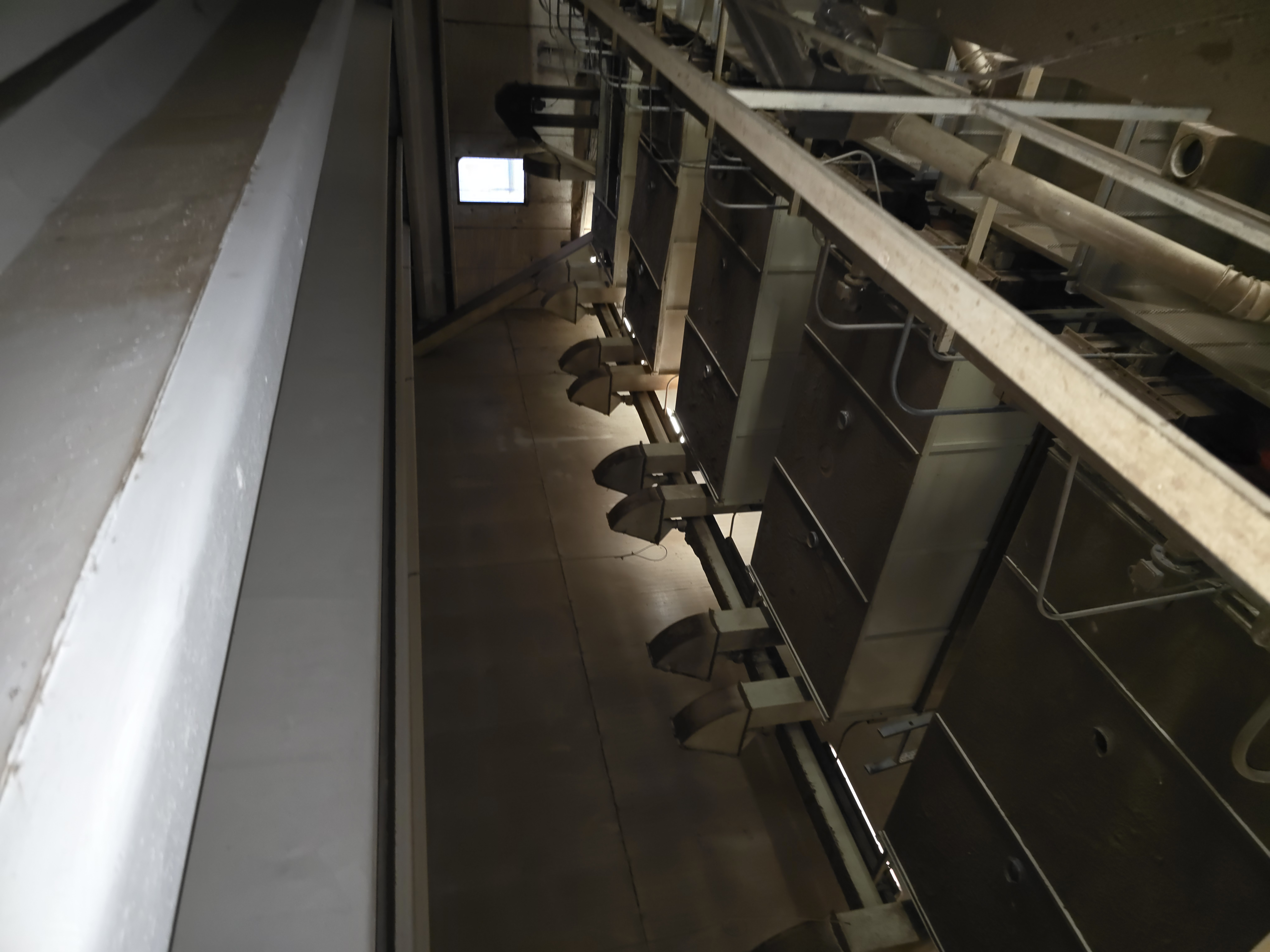 Sgusciatrice frutta secca nocciole in guscio noccioline in vendita - foto 5