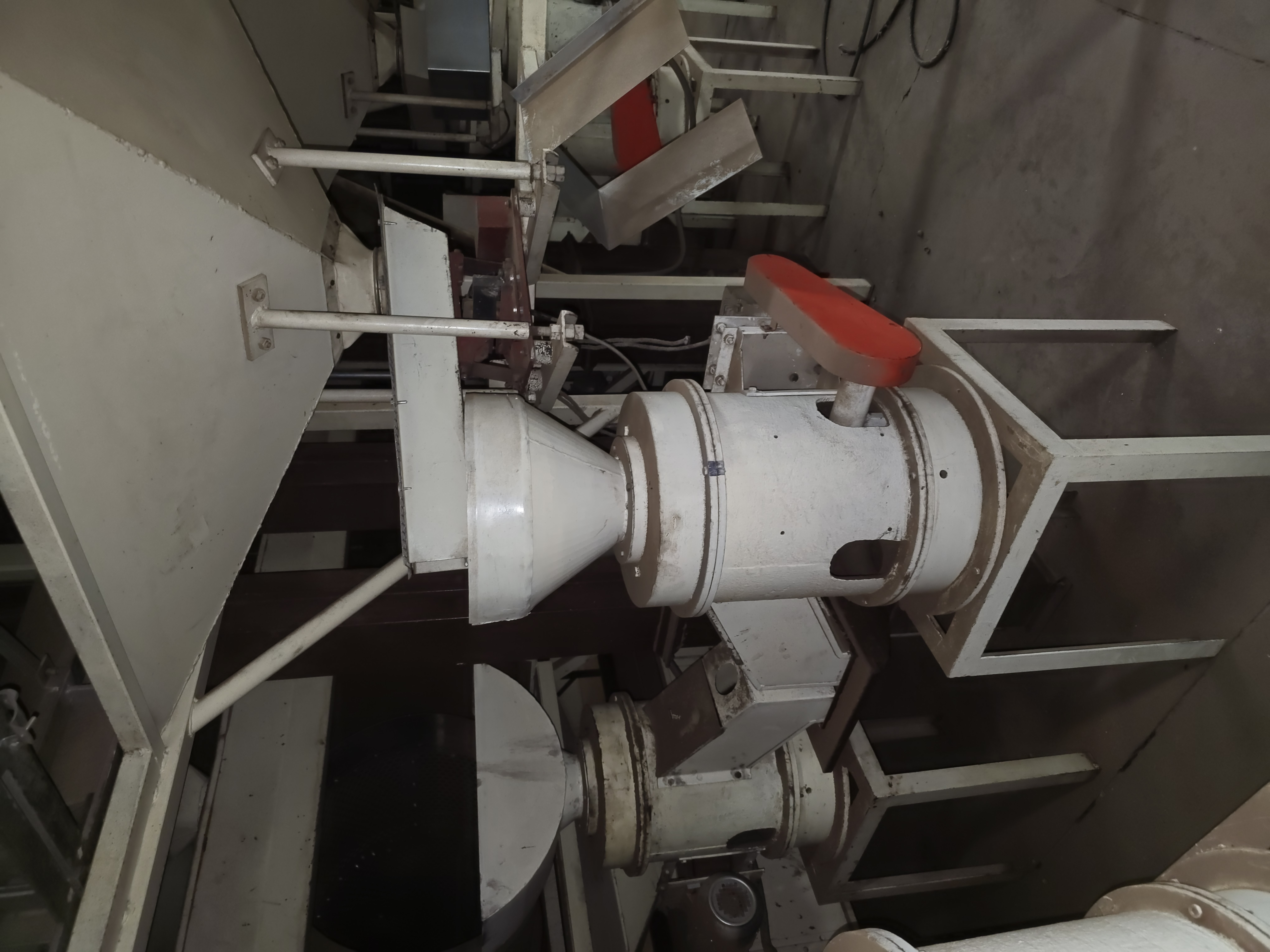 Sgusciatrice frutta secca nocciole in guscio noccioline in vendita - foto 4