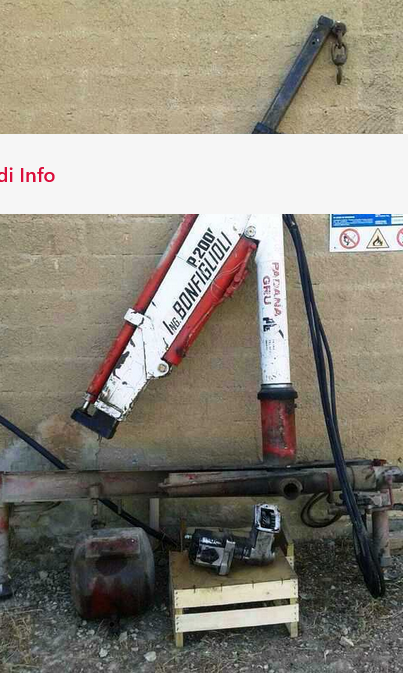 Gru Bonfiglioli P2000  in vendita - foto 1