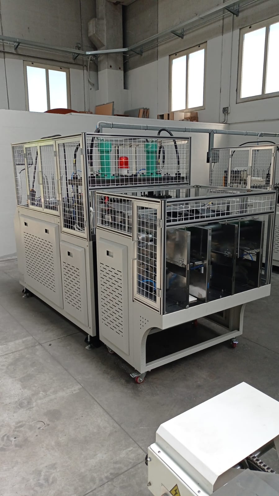 Attività cartotecnica con macchinari Benevento in vendita - foto 5
