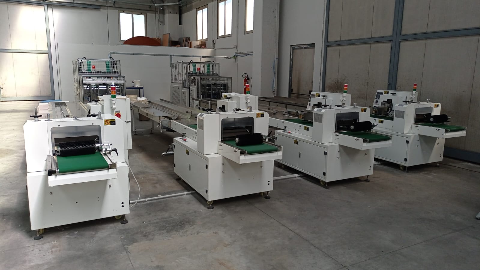Attività cartotecnica con macchinari Benevento in vendita - foto 14