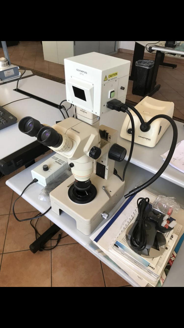 MICROSCOPIO in vendita - foto 1