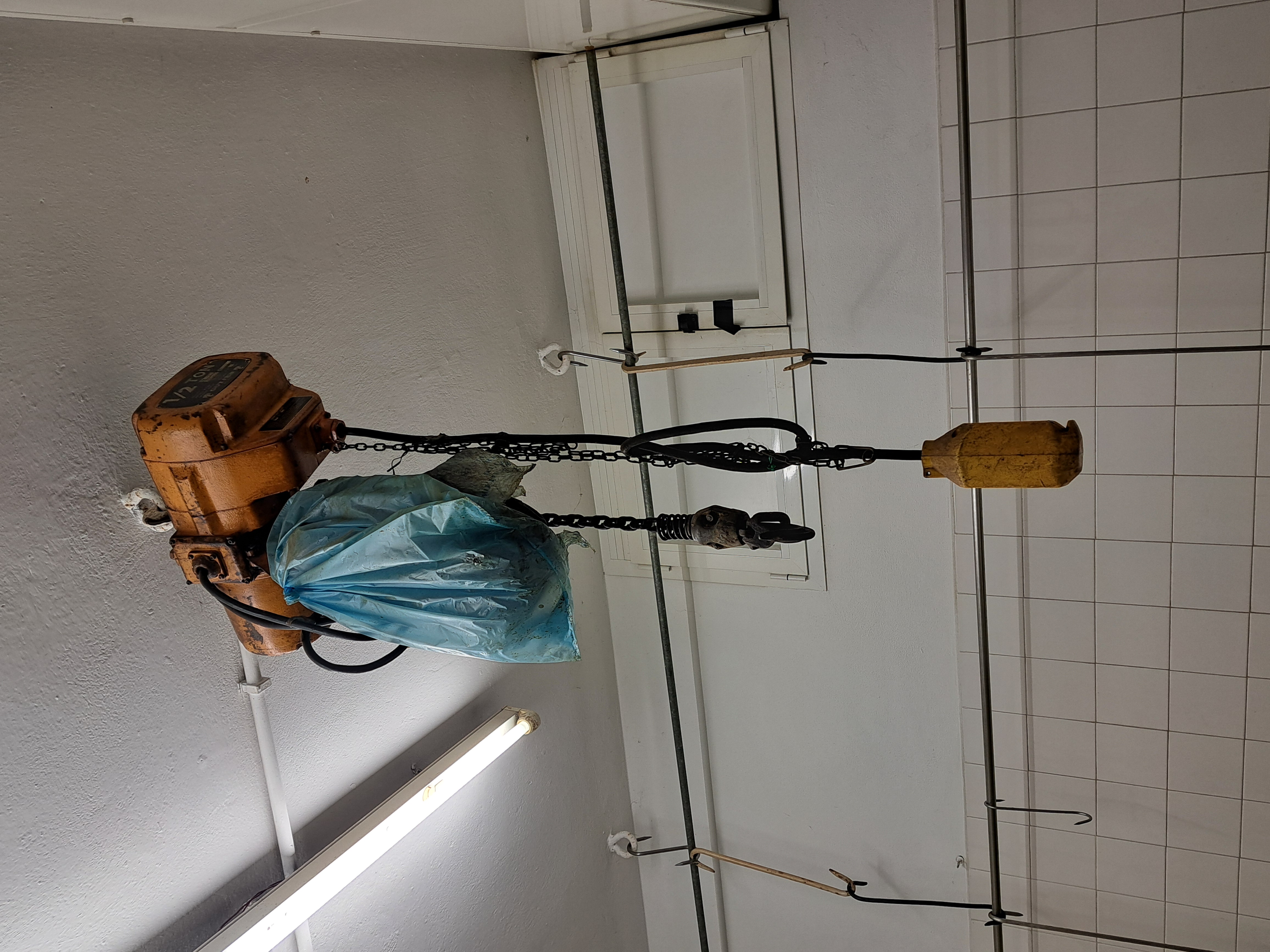 Attrezzatura Lavorazione Carni in vendita - foto 4