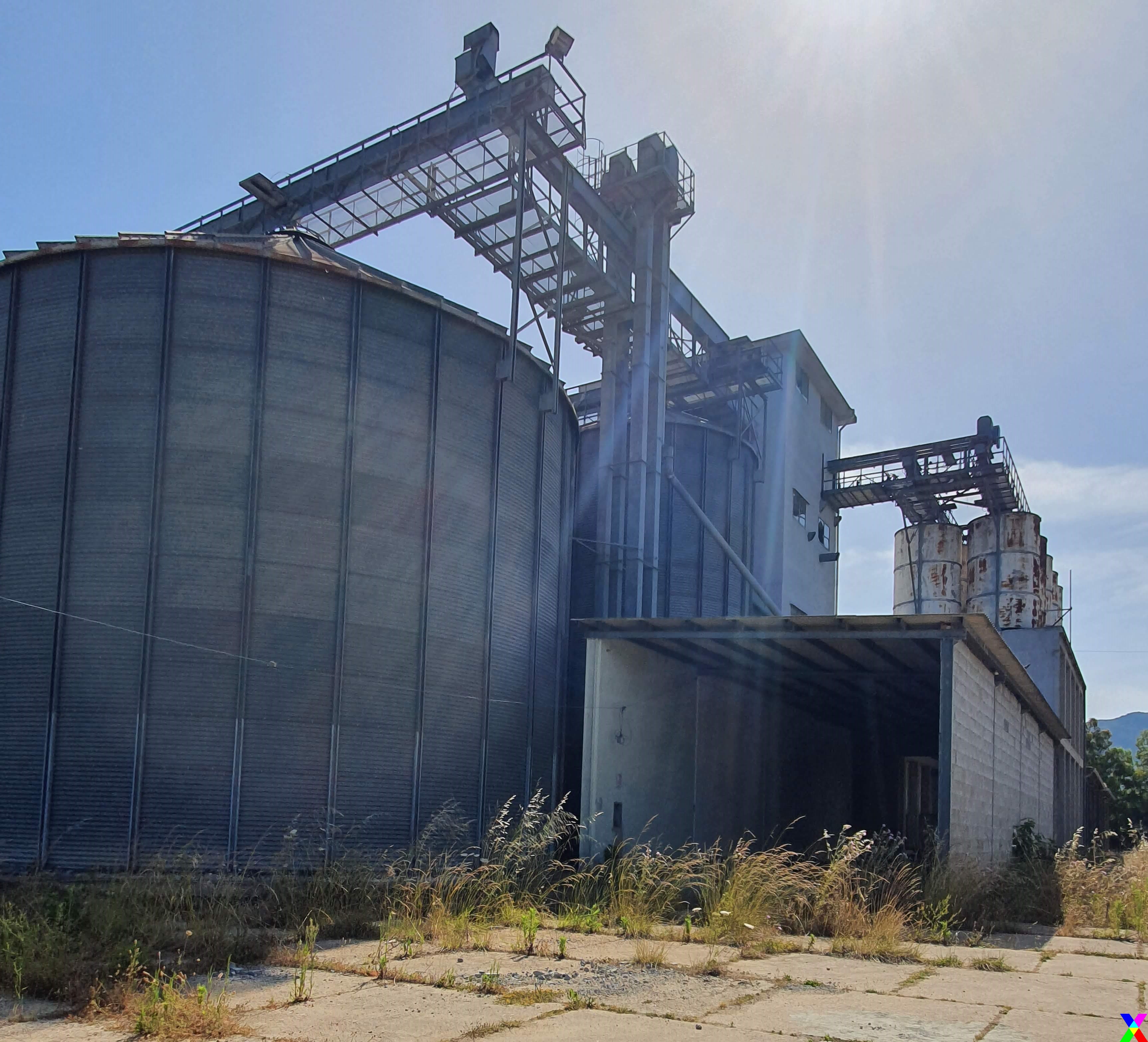 MANGIMIFICIO 150 ton: FARINE, CUBETTI SFUSI O IN SACCHI in vendita - foto 3