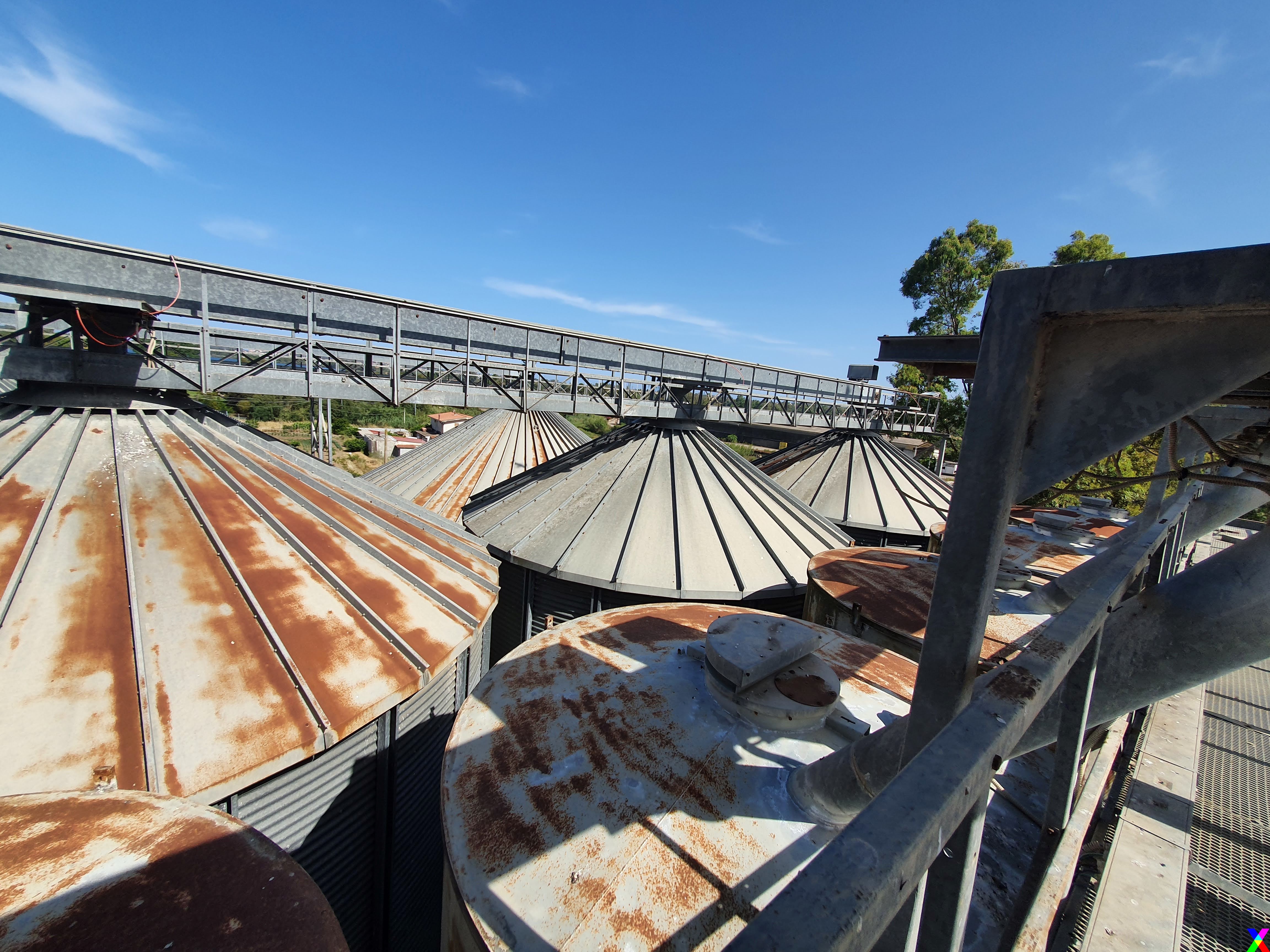 MANGIMIFICIO 150 ton: FARINE, CUBETTI SFUSI O IN SACCHI in vendita - foto 5
