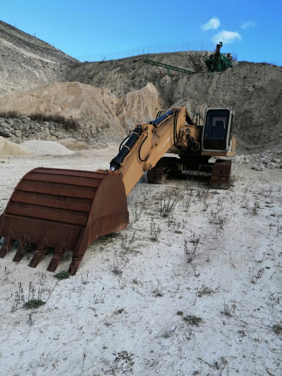 Escavatori in vendita