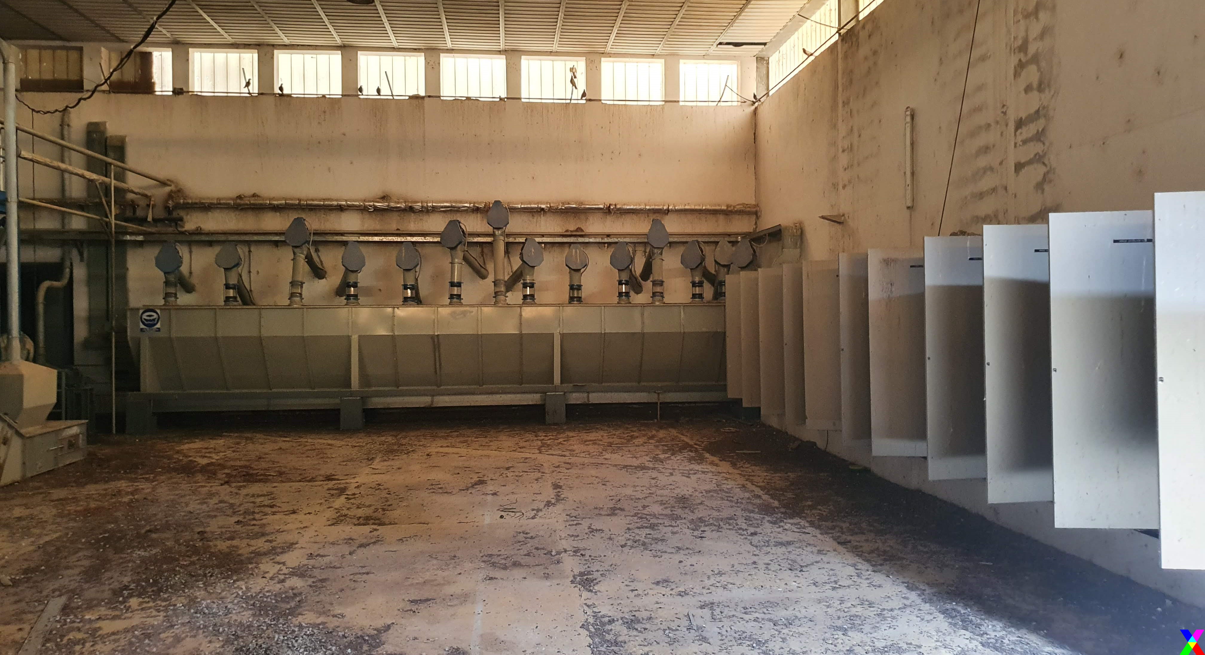 MANGIMIFICIO 150 ton: FARINE, CUBETTI SFUSI O IN SACCHI in vendita - foto 8