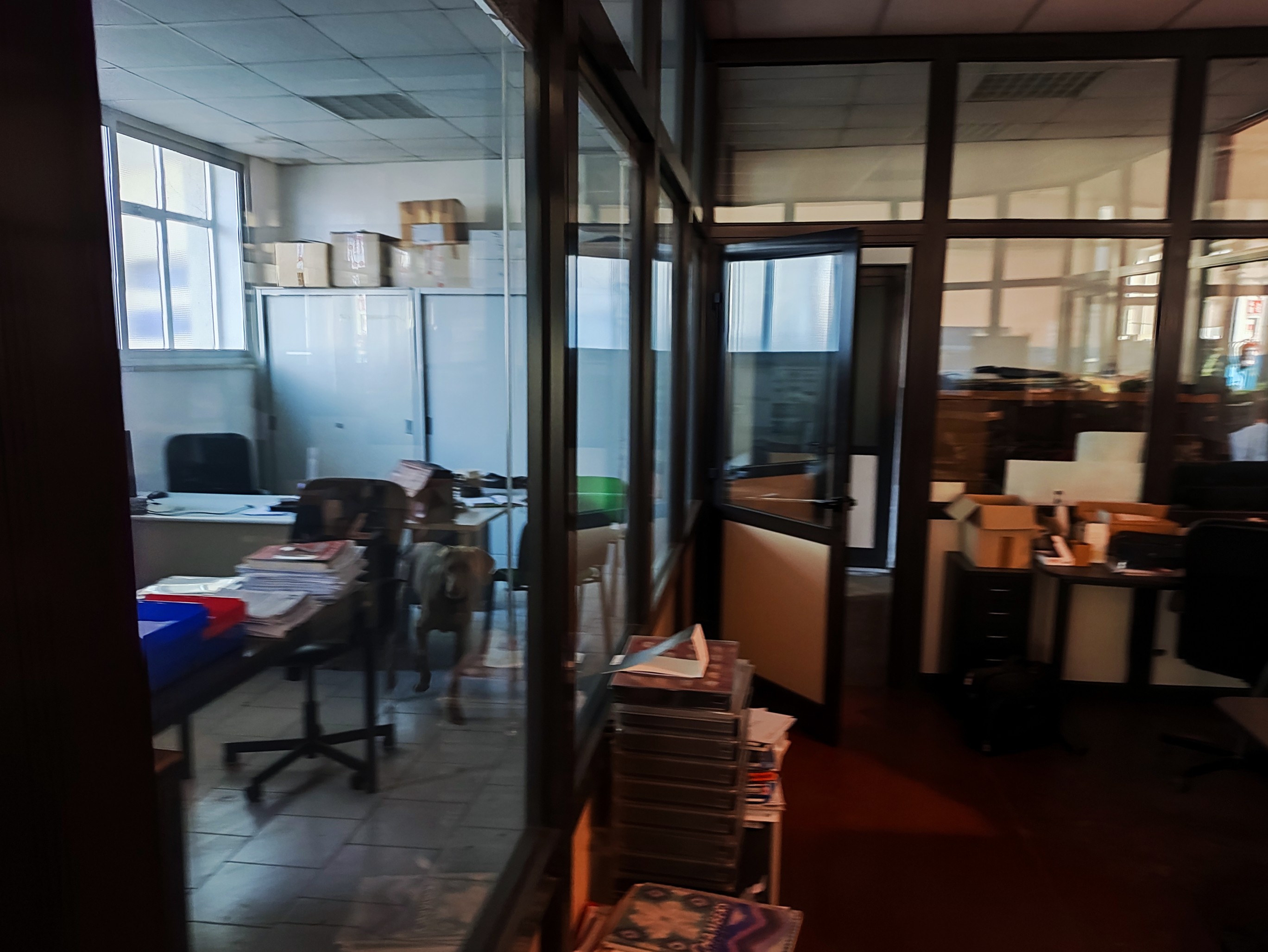 Capannone Artigianale 700 mq - PINEROLO in vendita - foto 2